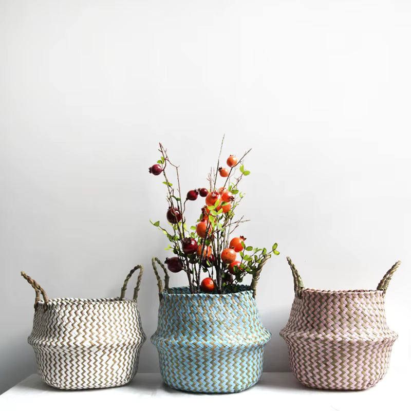 alishop:f702d520e5da